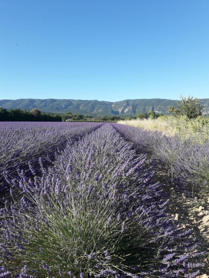 Gite Le Bagnol Un Coin De Paradis Maubec  Luaran gambar