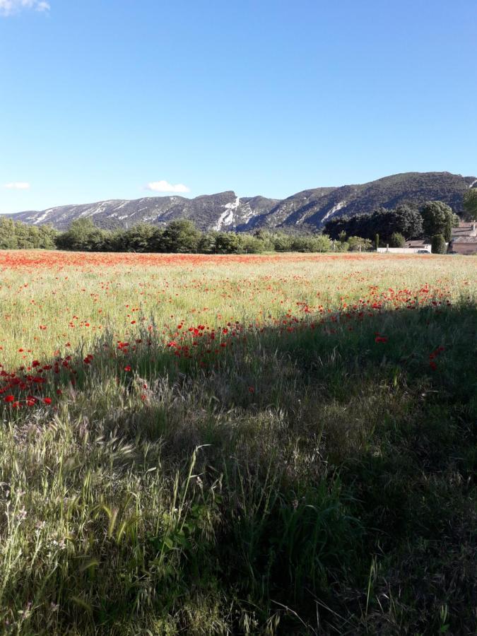 Gite Le Bagnol Un Coin De Paradis Maubec  Luaran gambar