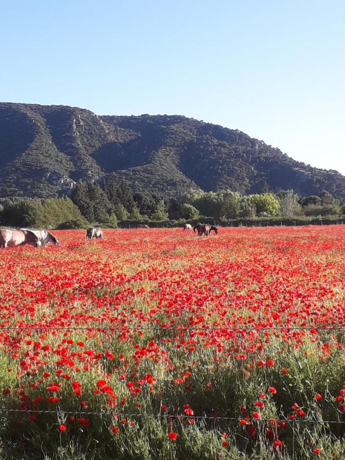 Gite Le Bagnol Un Coin De Paradis Maubec  Luaran gambar