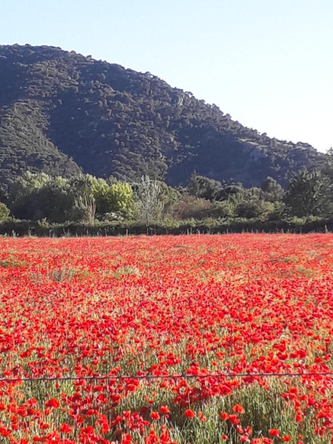 Gite Le Bagnol Un Coin De Paradis Maubec  Luaran gambar