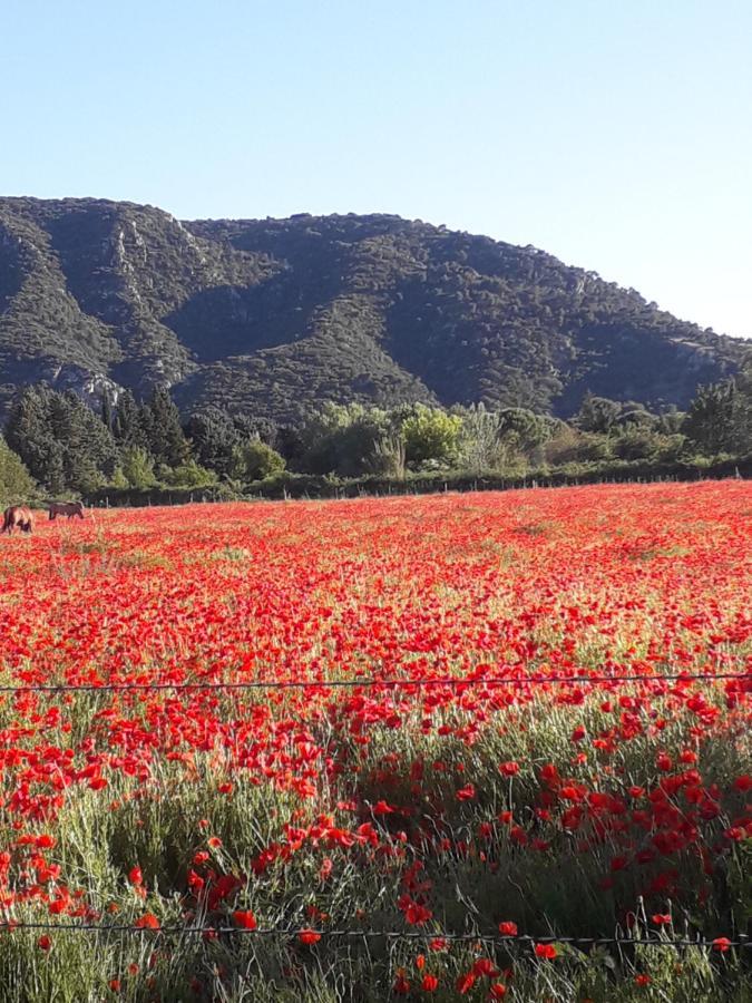 Gite Le Bagnol Un Coin De Paradis Maubec  Luaran gambar
